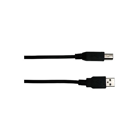 CABLE USB 2.0 SPECTRA (3.04 MTS, NICKEL) - Envío Gratuito